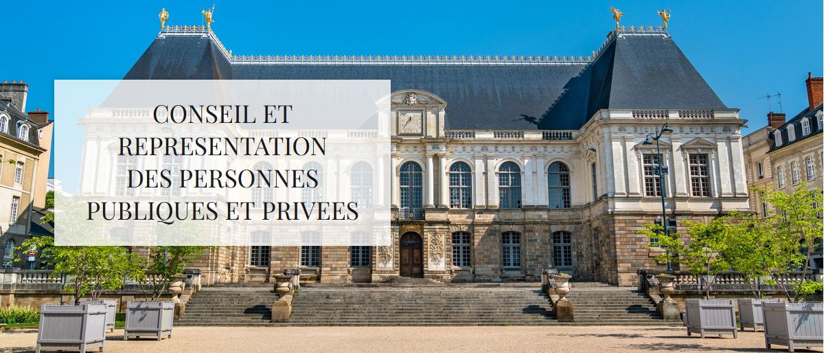 CONSEIL ET REPRESENTATION DES PPP